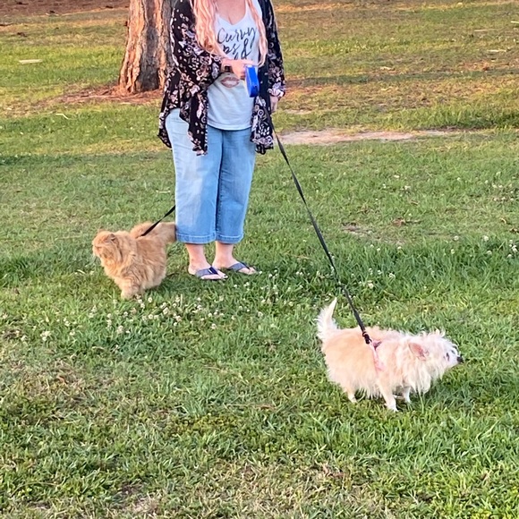 Meet your Posher, Sunkiss - Picture 3 of 8